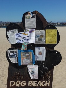 Dog Beach-Notice the announcement for the Doggie Street Fesival