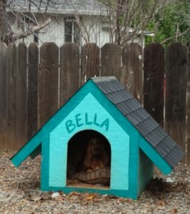 Bella'sHouse