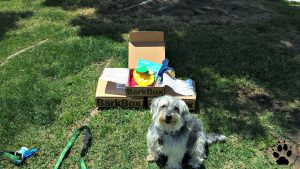 Shasta's Swag & Dog Deals-Bark Box