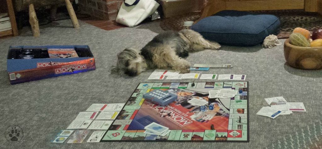 Shasta Playing Monopoly