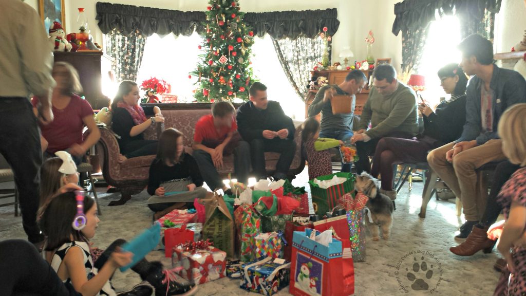 Christmas Gift Exchange 2015 & Shasta's Mischief