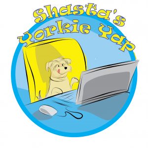 Shasta's Yorkie Yap Logo