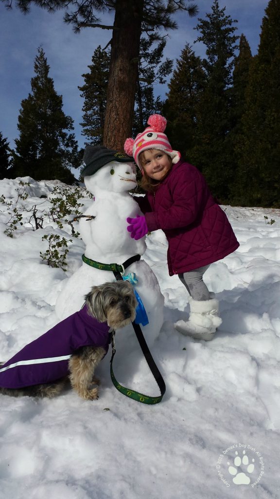 Snowman taking Shasta for a walk and getting a warm hug!