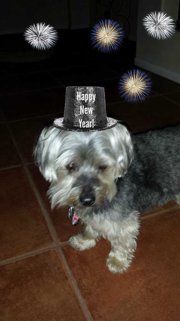 New Years Eve 2015 "wearing" party hat