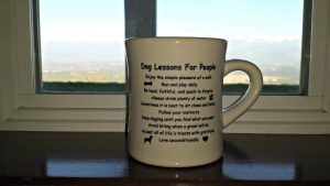 Dog Lessons for People