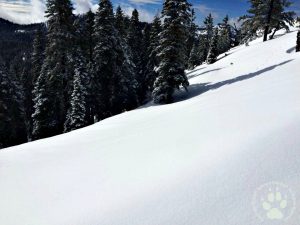 Skiing Sugar Bowl #1, Jan 31, 2016