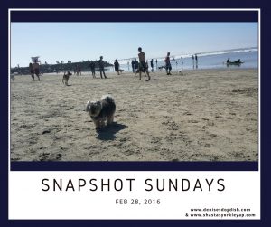 Snapshot Sundays Feb 28, 2016