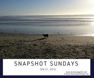 Snapshot Sundays Feb 21, 2016