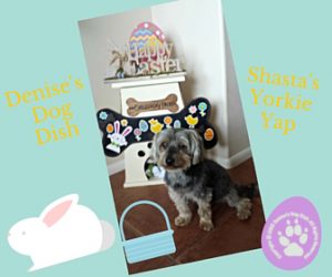 Snapshot Sundays says Happy Easter 2016 with a photo of our dog Shasta