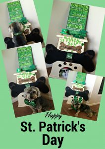 Happy St Patrick's Day 2016 from Denise's Dog Dish & Shasta's Yorkie Yap