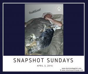 Snapshot Sundays #11 4.3.2016