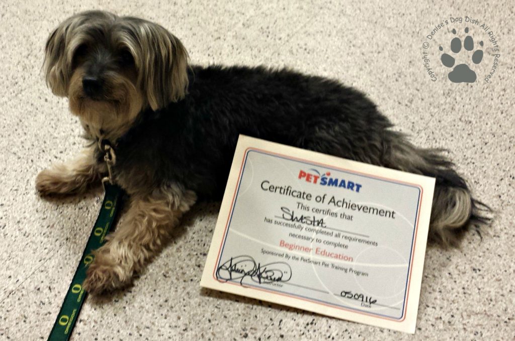 PetSmart Training-Graduation Certificate