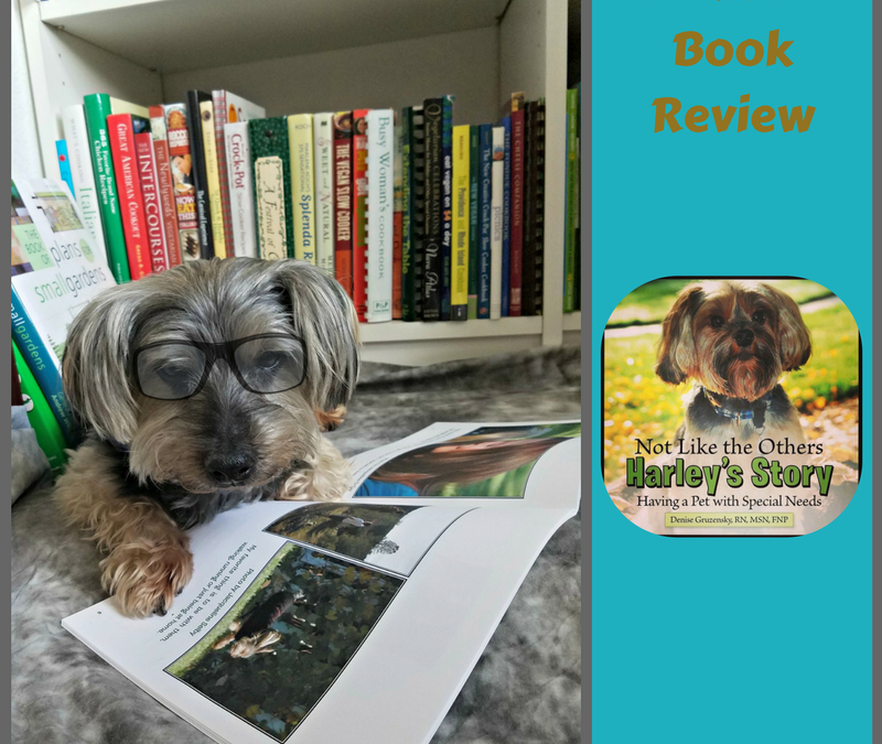 Not Like the Others-Harley's Story Bookworm Book Review