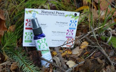 Dog Allergy Answer #1-Natural Paws