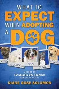 Holidays, Hounds and Hot Buys Giveaway-What to Expect when Adopting a Dog Cover