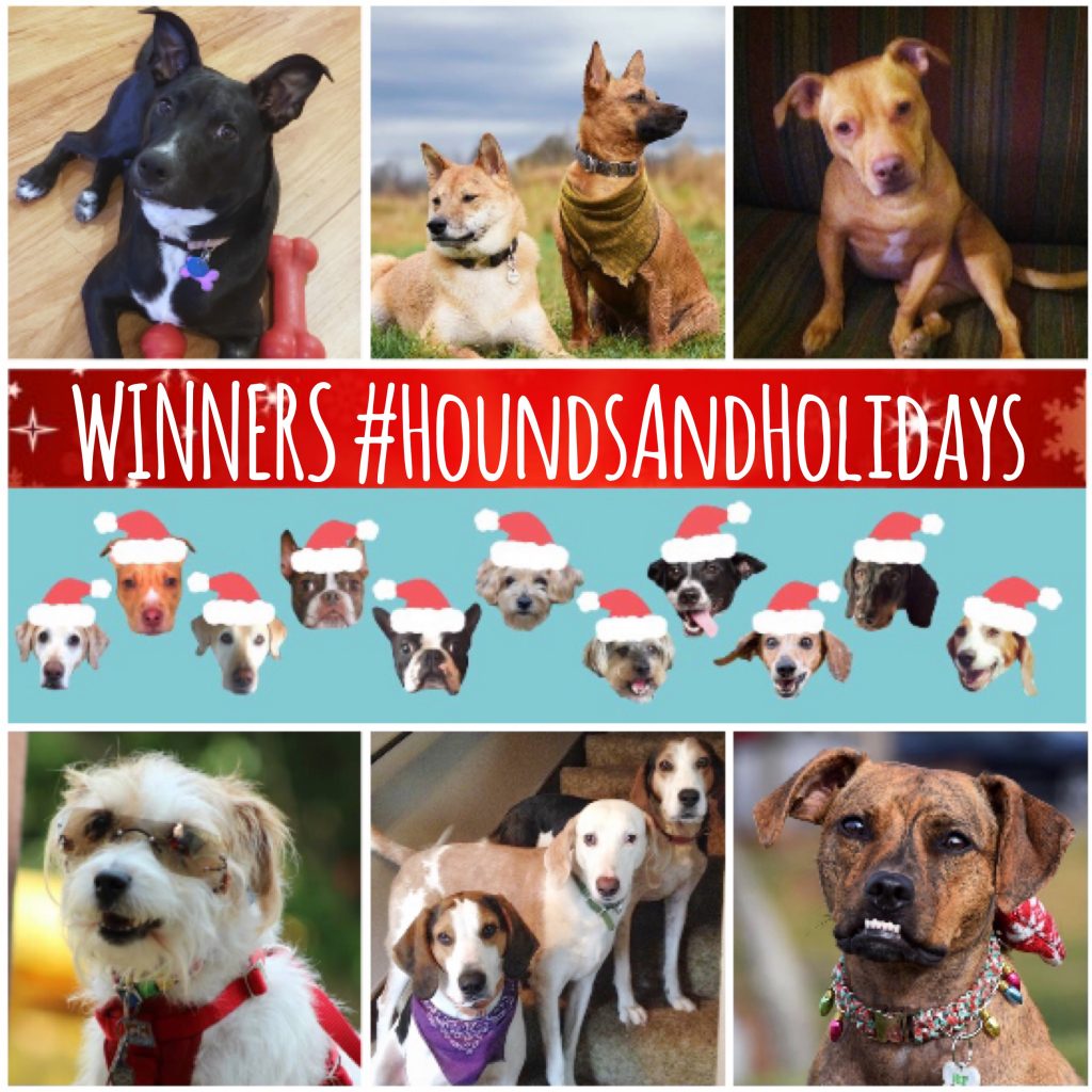 2016 Holidays, Hounds and Hot Buys Winners