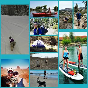 Photos of our dog Shasta in the snow, kayaking, paddle boarding, backpacking, camping, at the beach and traveling