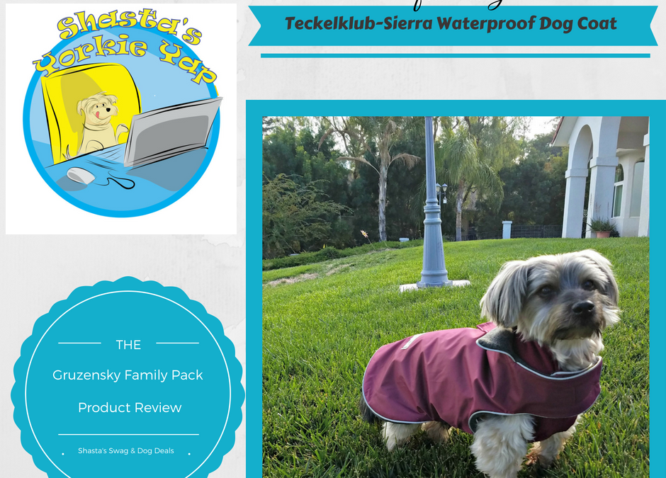 Teckelklub Waterproof dog coat Gruzensky Pack Product Review