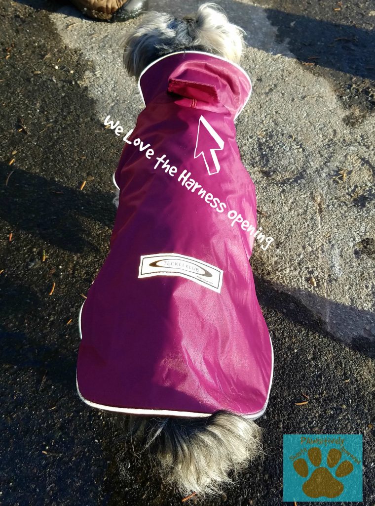 Waterproof Leash Cover Teckelklub's Sierra Dog Coat-Shasta