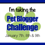 Pet Blogger Challenge 2017 logo