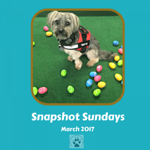 Snapshot Sundays March 2017