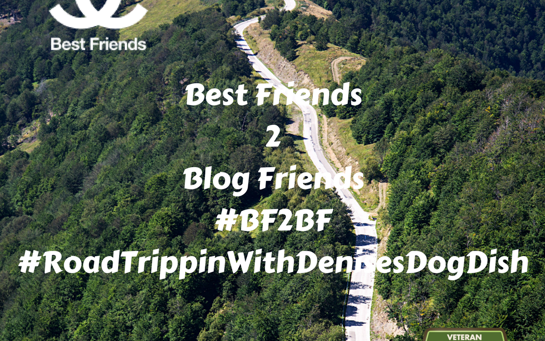 Best Friends 2 Blog Friends-Blog Paws 2017
