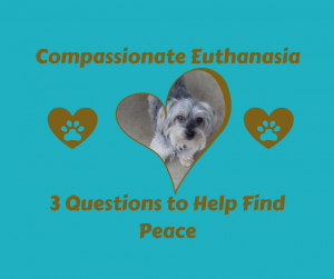Compassionate Euthanasia-Denise's Dog Dish