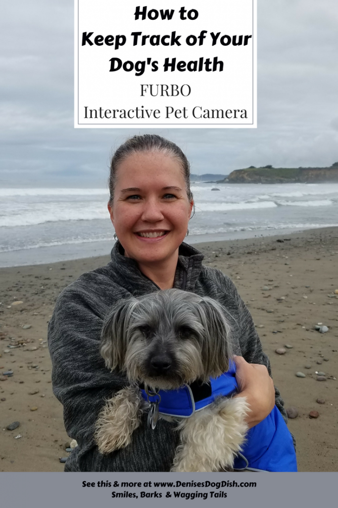 How to Keep Track of Your Dog's Health- FURBO Interactive Pet Camera