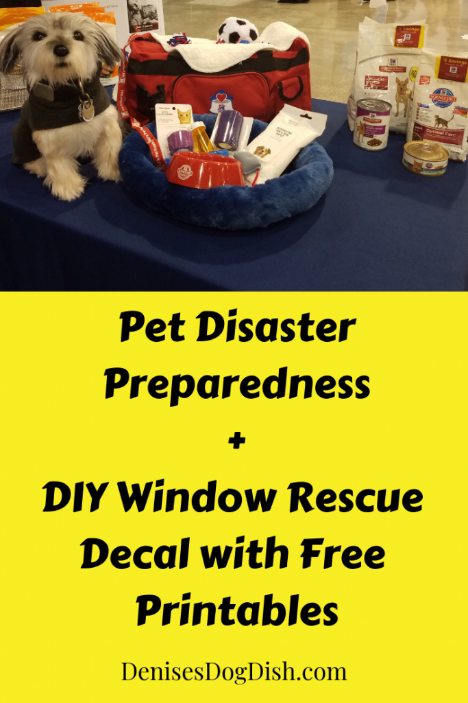 Pet Disaster Preparedness
