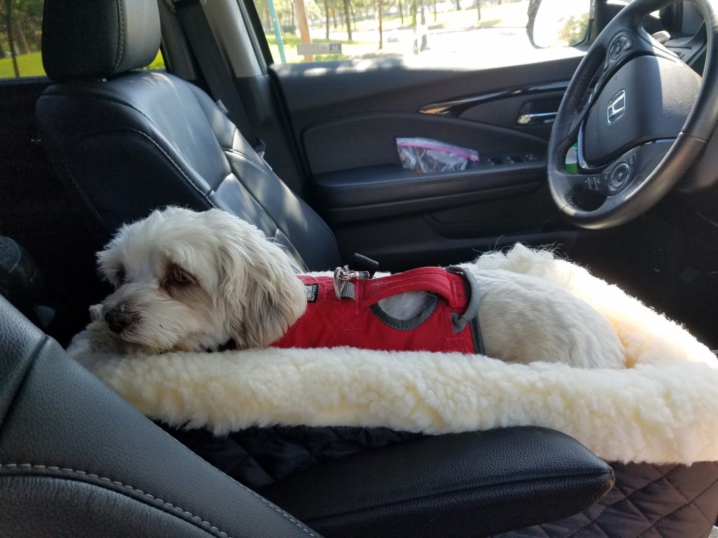 Traveling with your dog console seat for safety