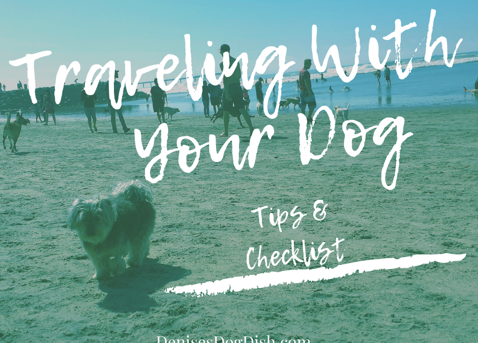 Traveling with Your Dog: Tips and Checklist