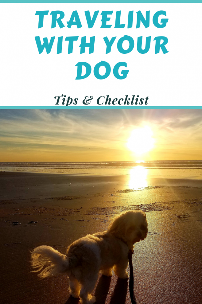 Traveling with your dog tips and checklist
